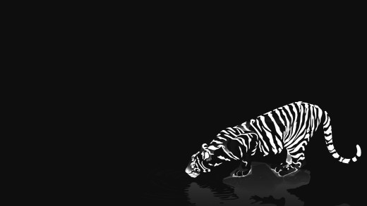 847018 (a): :1920x1080